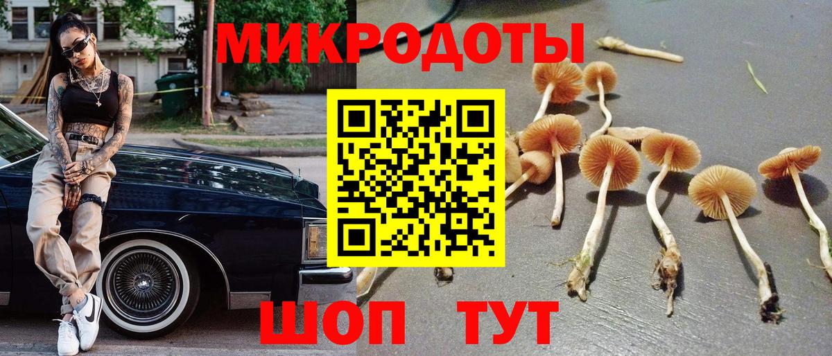 Псилоцибиновые грибы прущие грибы  Вход с VPN  Красный Сулин  закладка  Псилоцибиновые грибы мухоморы 